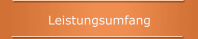 Leistungsumfang