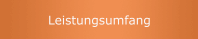 Leistungsumfang